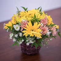 Mixed Yellow Jebra and Chrysanthemum Basket
